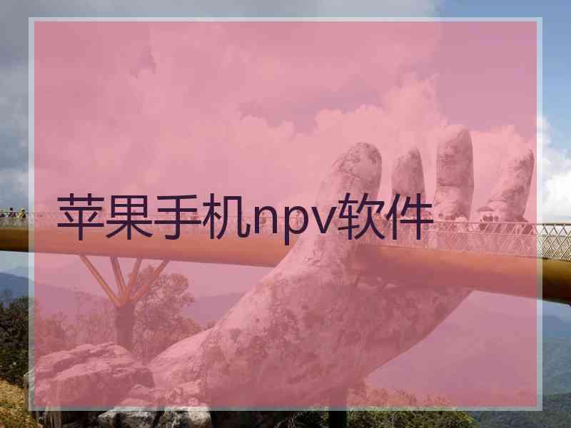 苹果手机npv软件