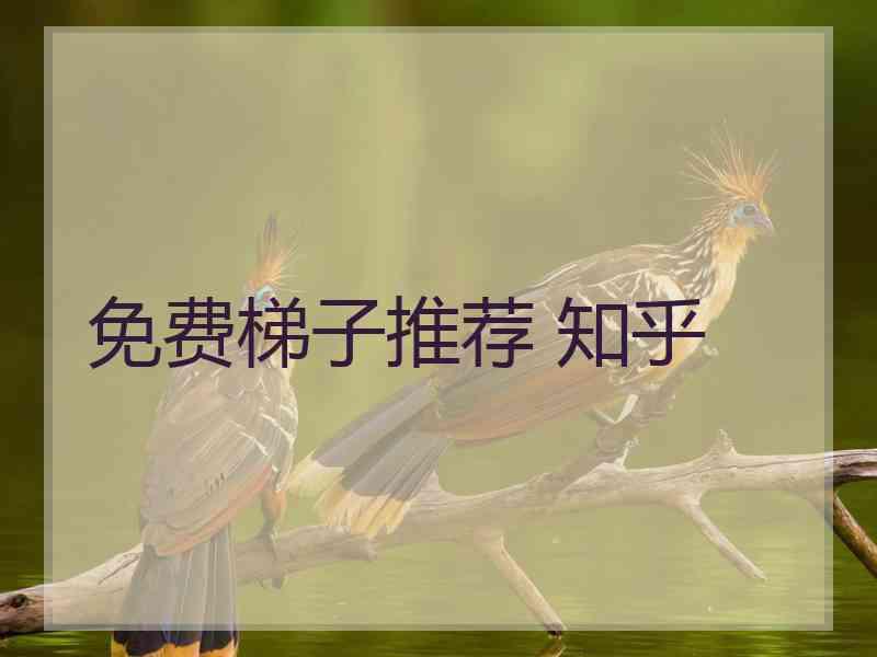免费梯子推荐 知乎