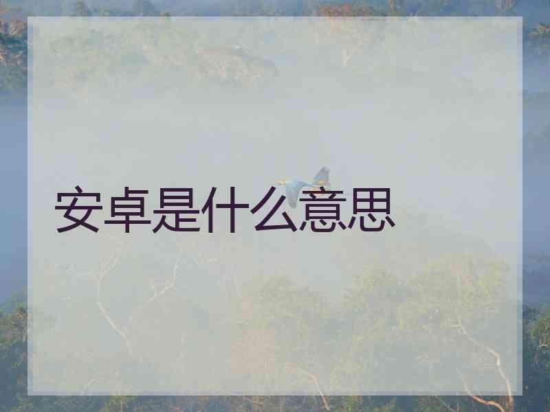 安卓是什么意思