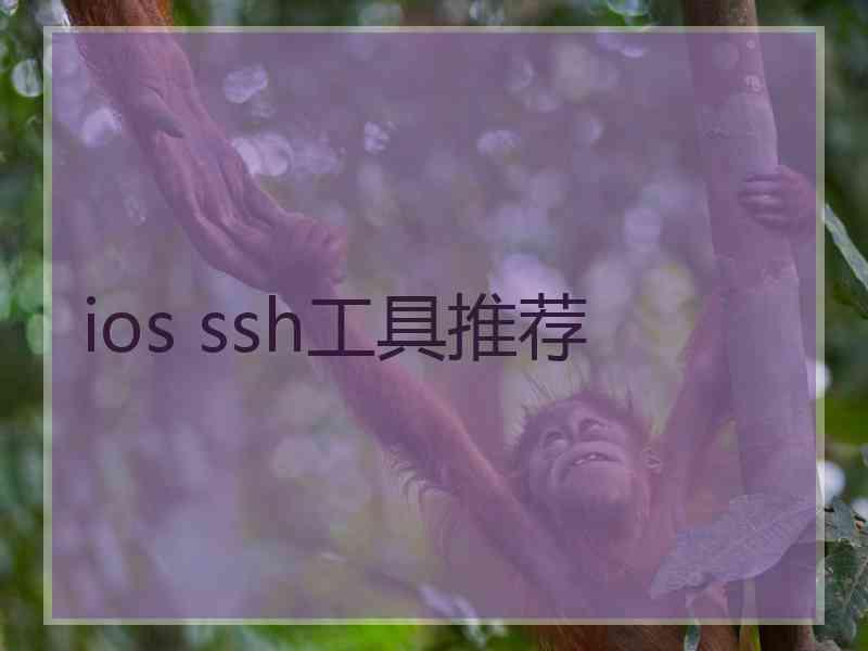 ios ssh工具推荐