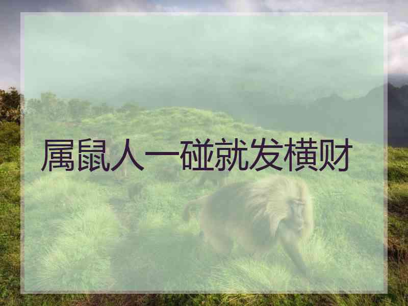 属鼠人一碰就发横财