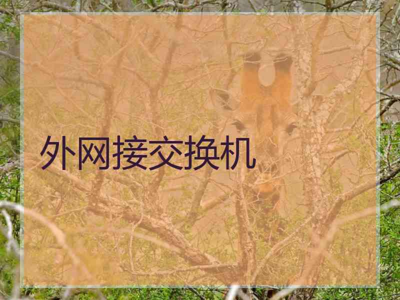 外网接交换机