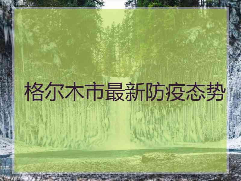 格尔木市最新防疫态势