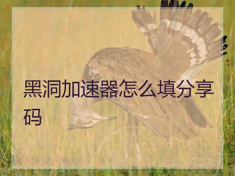 黑洞加速器怎么填分享码