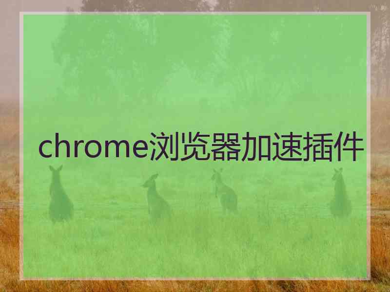 chrome浏览器加速插件