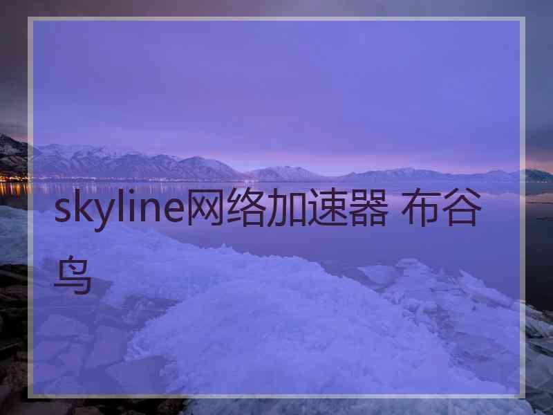 skyline网络加速器 布谷鸟