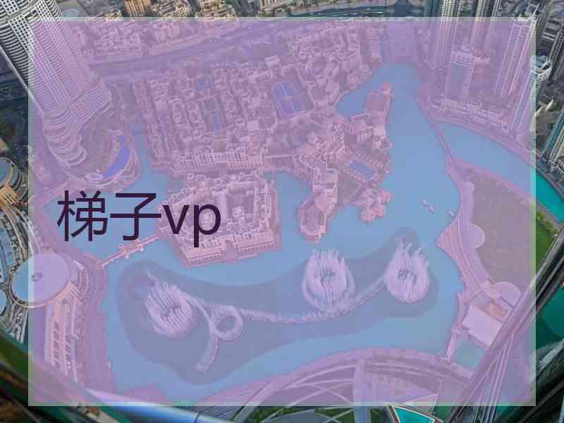 梯子vp