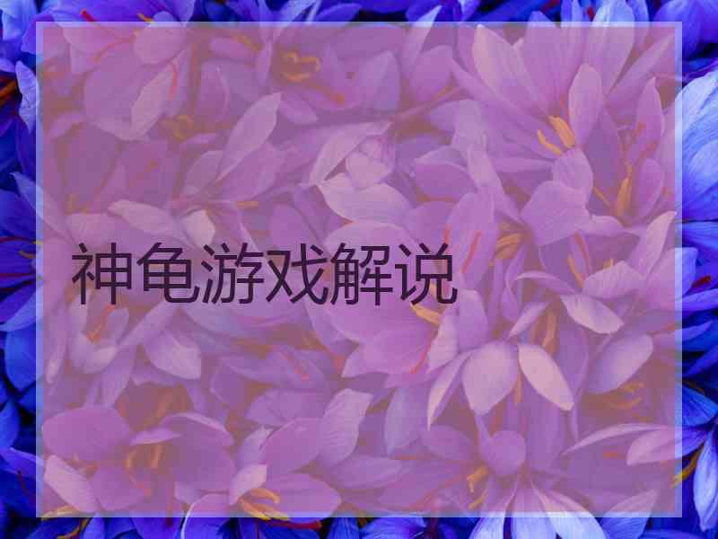 神龟游戏解说