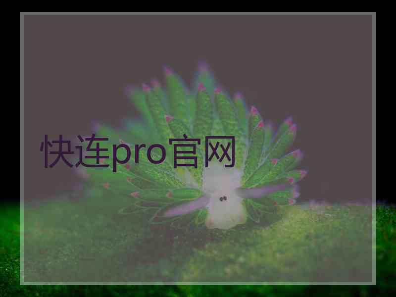 快连pro官网