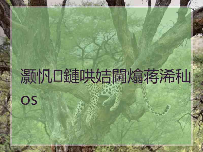 灏忛鏈哄姞閫熻蒋浠秈os