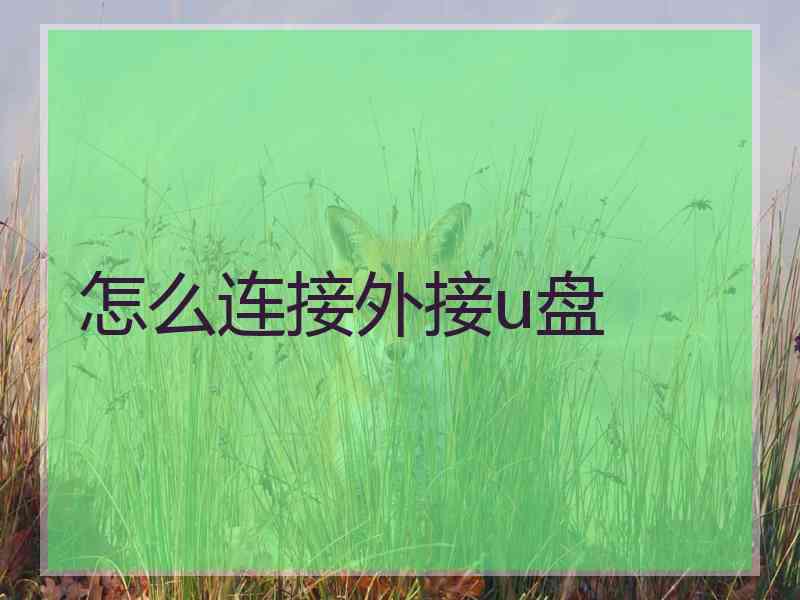 怎么连接外接u盘