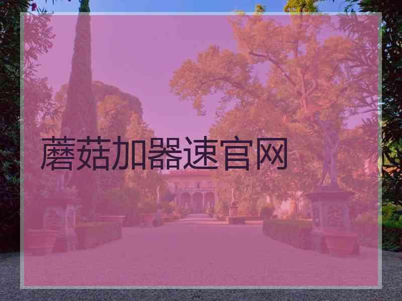 蘑菇加器速官网