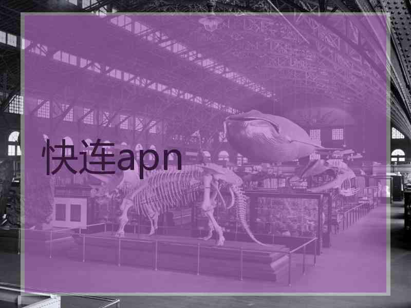 快连apn