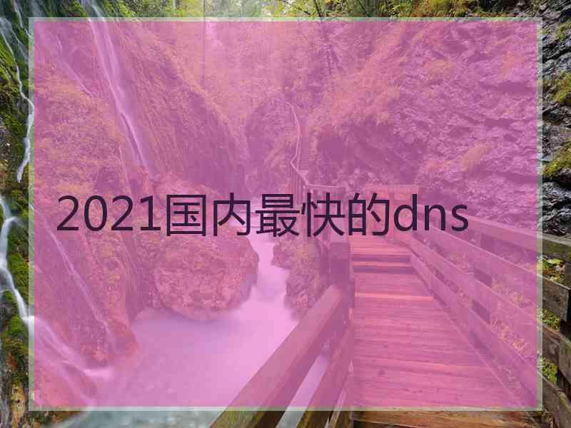 2021国内最快的dns