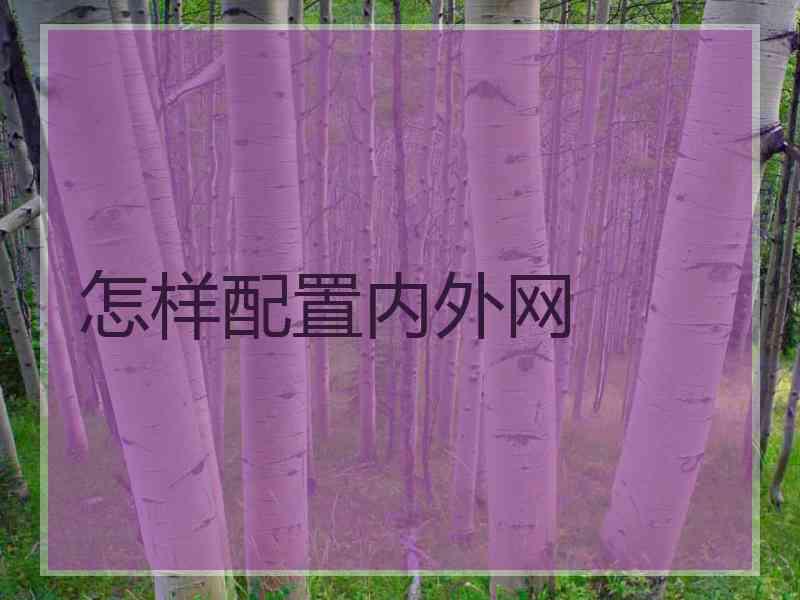 怎样配置内外网