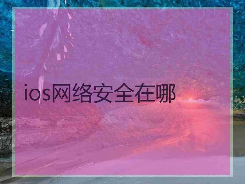 ios网络安全在哪