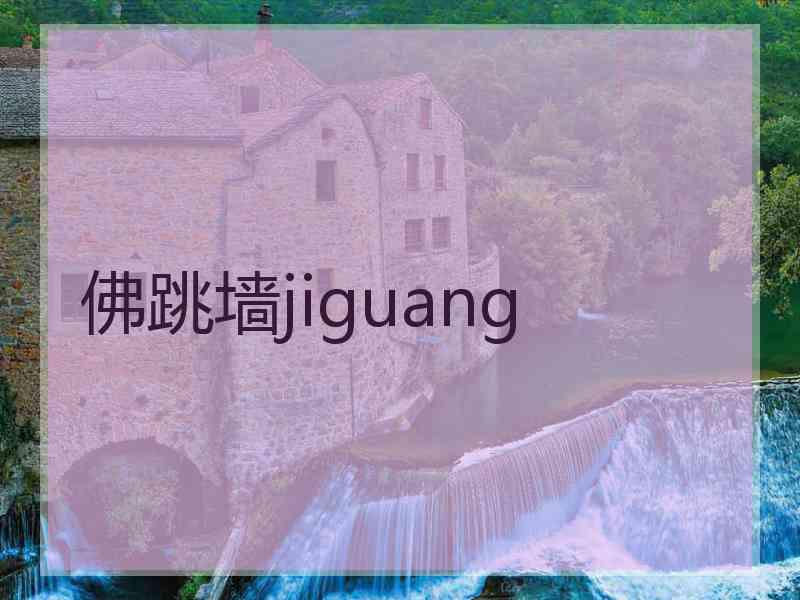 佛跳墙jiguang