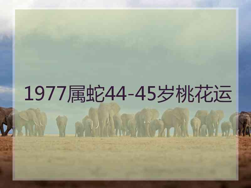 1977属蛇44-45岁桃花运