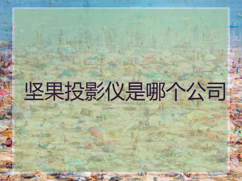 坚果投影仪是哪个公司