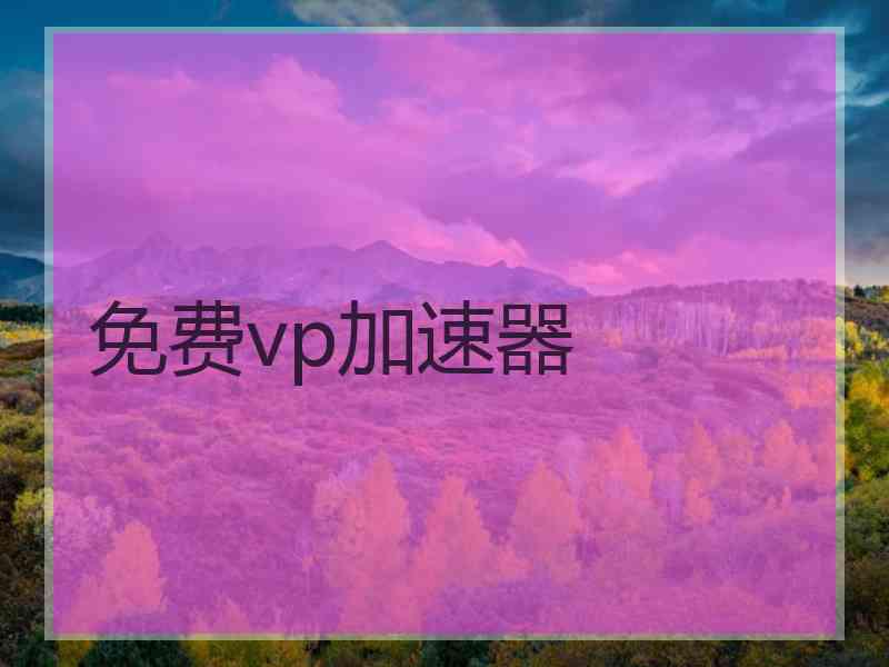 免费vp加速器