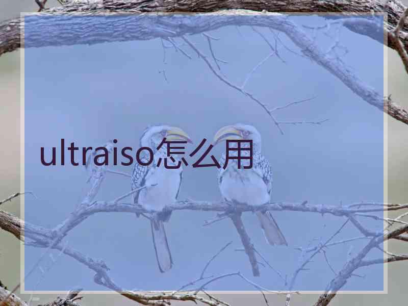 ultraiso怎么用