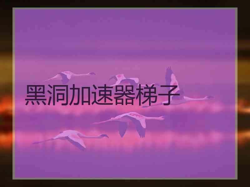 黑洞加速器梯子