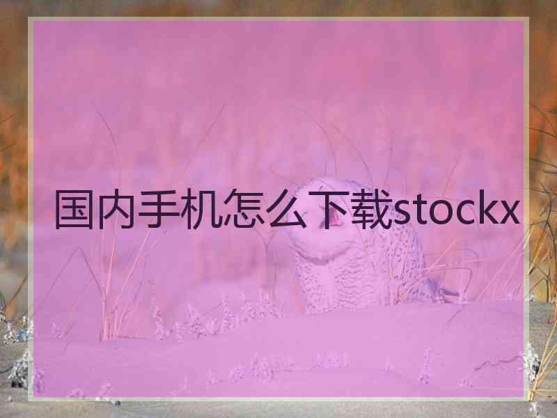 国内手机怎么下载stockx