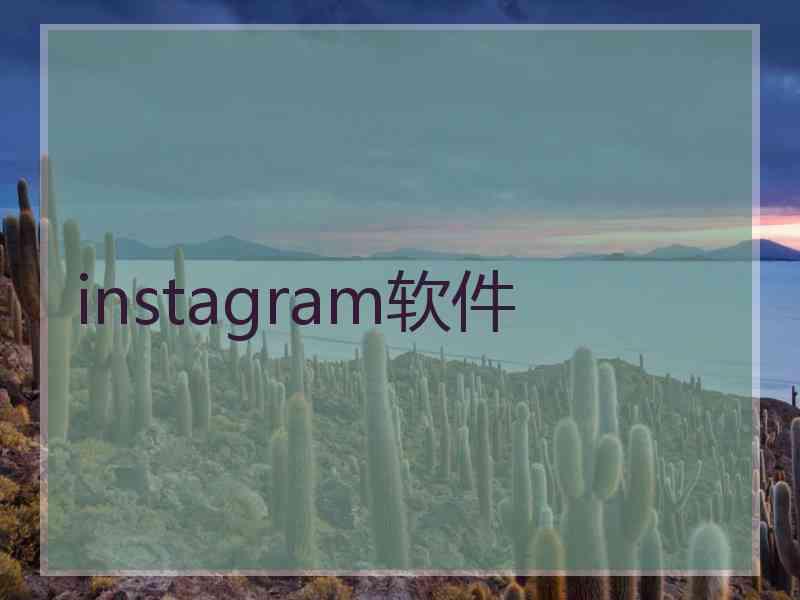 instagram软件
