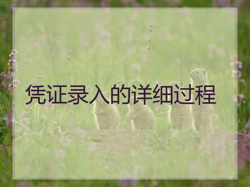 凭证录入的详细过程