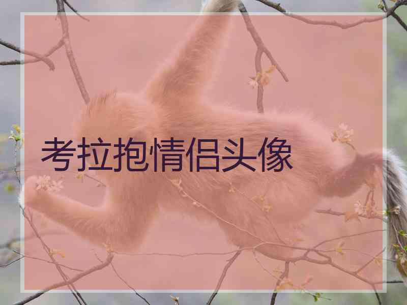 考拉抱情侣头像