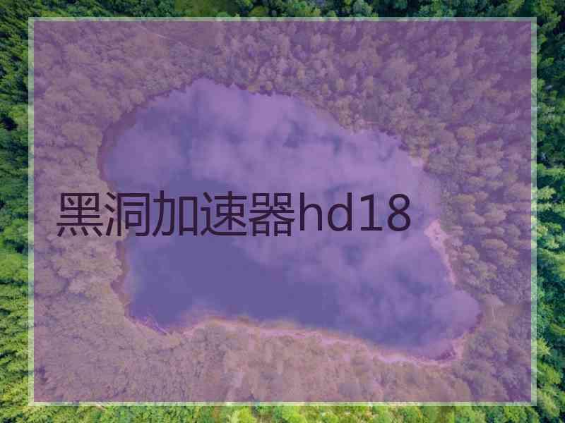 黑洞加速器hd18