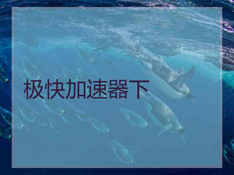 极快加速器下