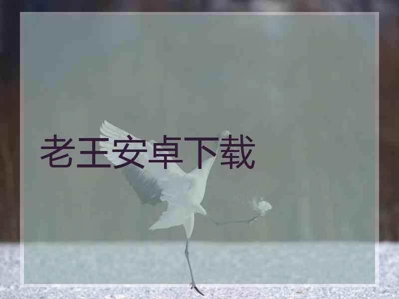 老王安卓下载