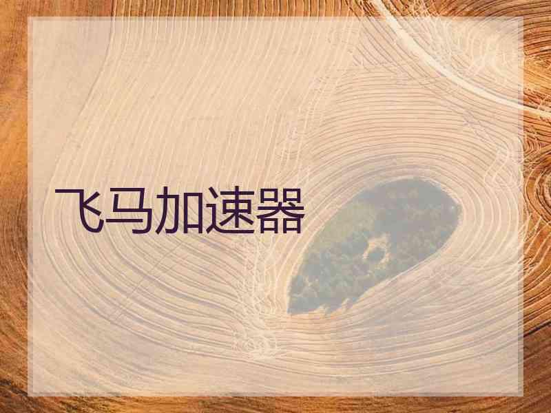 飞马加速器