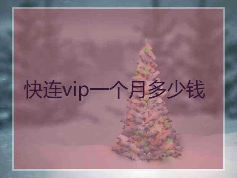 快连vip一个月多少钱