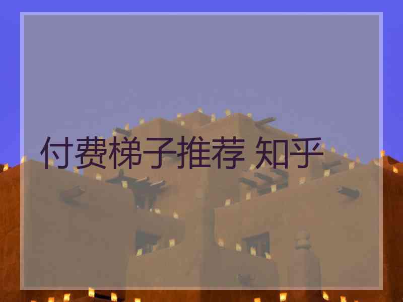 付费梯子推荐 知乎