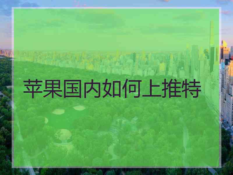 苹果国内如何上推特