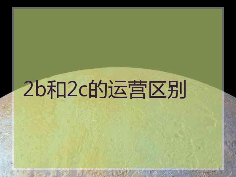 2b和2c的运营区别