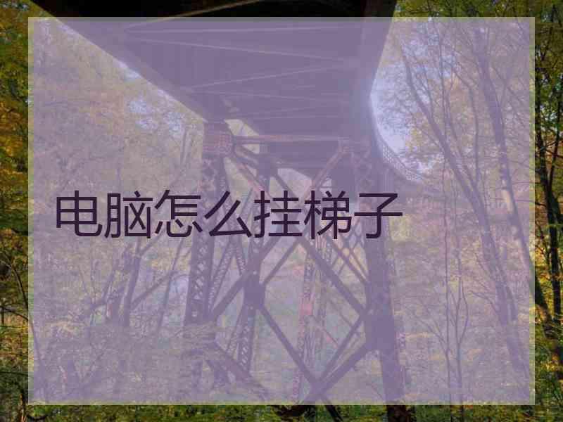 电脑怎么挂梯子