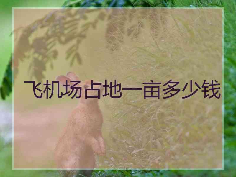 飞机场占地一亩多少钱