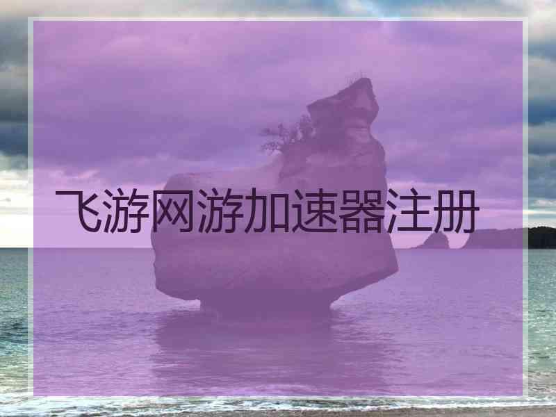 飞游网游加速器注册