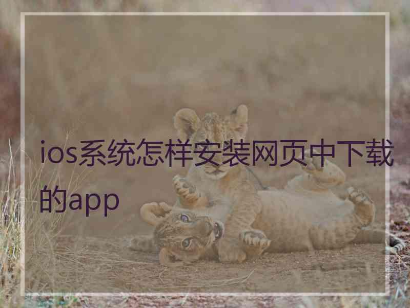 ios系统怎样安装网页中下载的app