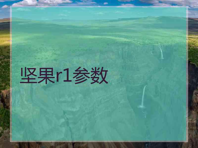 坚果r1参数