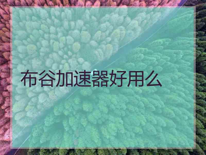 布谷加速器好用么