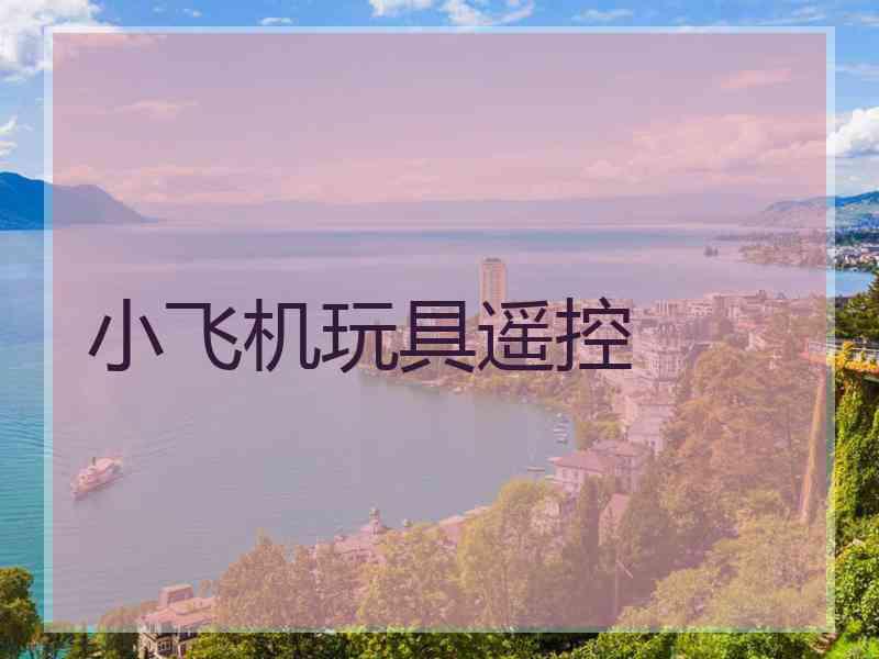 小飞机玩具遥控