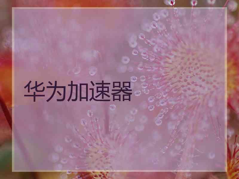 华为加速器