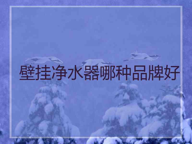 壁挂净水器哪种品牌好