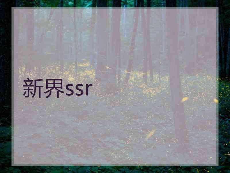 新界ssr