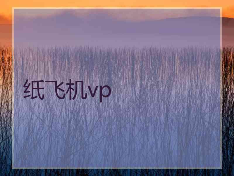 纸飞机vp