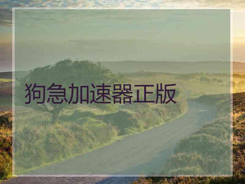 狗急加速器正版